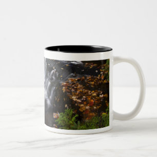 VS, Michigan, Upper Peninsula. Bond Falls en Tweekleurige Koffiemok