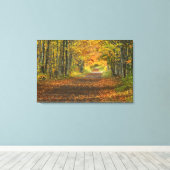 VS, Michigan, Upper Peninsula. Wegdek in Canvas Afdruk (Insitu (Houten vloer))