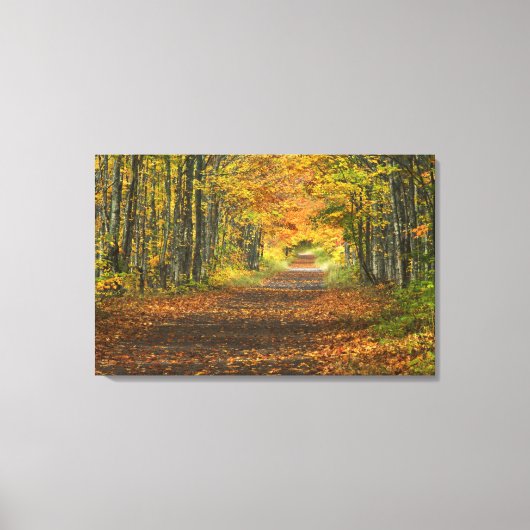 VS, Michigan, Upper Peninsula. Wegdek in Canvas Afdruk (Voorkant)