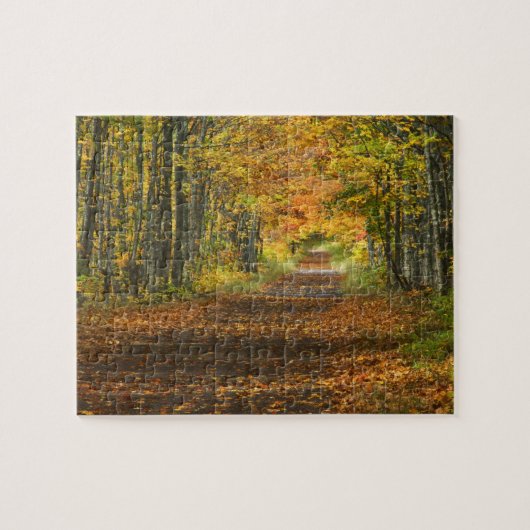 VS, Michigan, Upper Peninsula. Wegdek in Legpuzzel (Horizontaal)