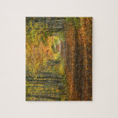 VS, Michigan, Upper Peninsula. Wegdek in Legpuzzel (Verticaal)