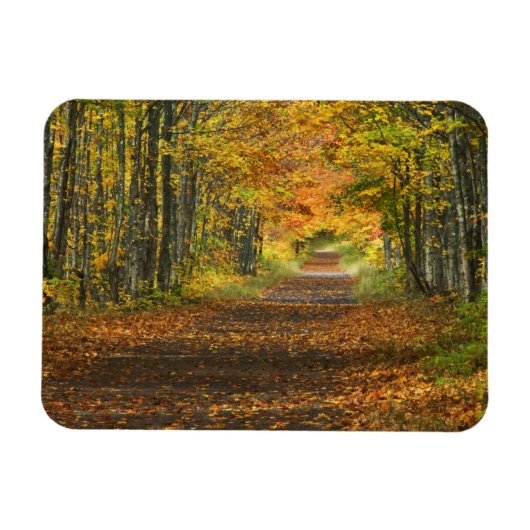 VS, Michigan, Upper Peninsula. Wegdek in Magneet (Horizontaal)
