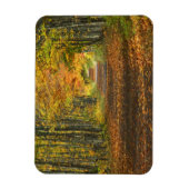VS, Michigan, Upper Peninsula. Wegdek in Magneet (Verticaal)