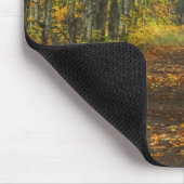 VS, Michigan, Upper Peninsula. Wegdek in Muismat (Hoek)