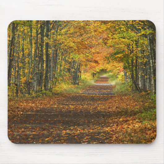 VS, Michigan, Upper Peninsula. Wegdek in Muismat (Voorkant)