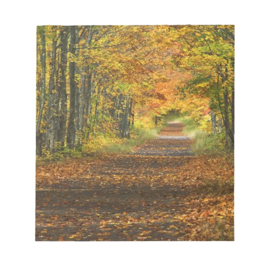 VS, Michigan, Upper Peninsula. Wegdek in Notitieblok (Voorkant)