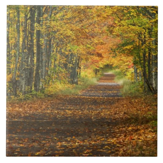 VS, Michigan, Upper Peninsula. Wegdek in Tegeltje (Voorkant)