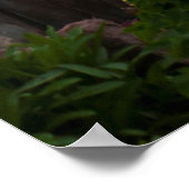 VS, Michigan. vuurtoren van de werf Poster (Hoek)