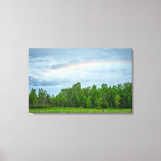 VS, Minnesota. Groene weide met wilde bloemen Canvas Afdruk (Voorkant)