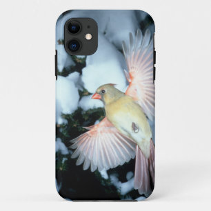 VS, Minnesota, Mendota Heights, vrouwelijke kardin Case-Mate iPhone Case