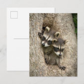 VS, Minnesota, Sandstone, Minnesota Wildlife 7 Briefkaart (Voorkant / Achterkant)