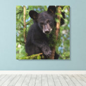 VS, Minnesota, Sandstone, Minnesota Wildlife 8 Canvas Afdruk (Insitu (Houten vloer))