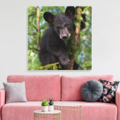 VS, Minnesota, Sandstone, Minnesota Wildlife 8 Canvas Afdruk (Insitu (Woonkamer))