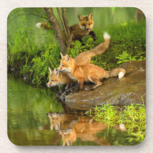 VS, Minnesota, Sandstone, Minnesota Wildlife Bier Onderzetter