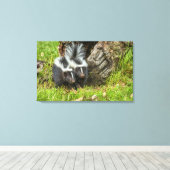 VS, Minnesota, Sandstone, Minnesota Wildlife Canvas Afdruk (Insitu (Houten vloer))