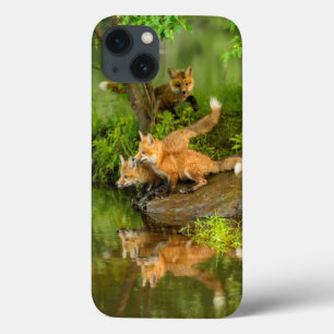 VS, Minnesota, Sandstone, Minnesota Wildlife iPhone 13 Hoesje