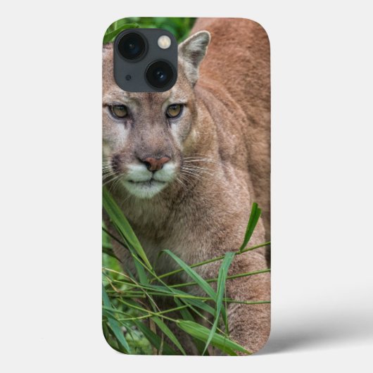 VS, Minnesota, Sandstone, Minnesota-wildlife Case-Mate iPhone Case (Achterkant)