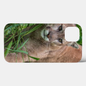 VS, Minnesota, Sandstone, Minnesota-wildlife Case-Mate iPhone Case (Achterkant (horizontaal))