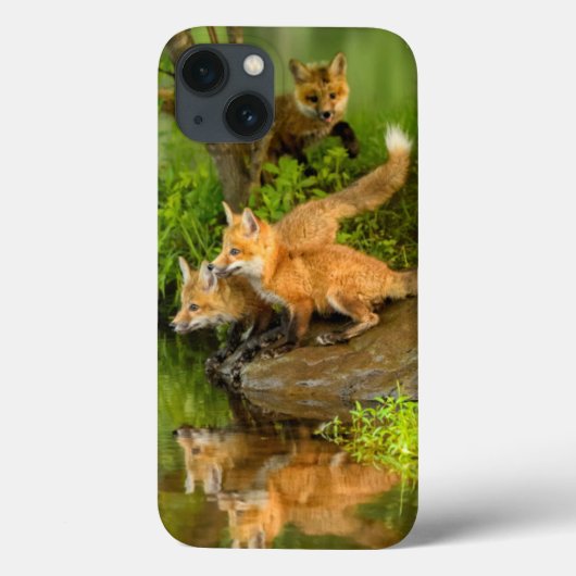 VS, Minnesota, Sandstone, Minnesota Wildlife Case-Mate iPhone Case (Achterkant)