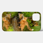 VS, Minnesota, Sandstone, Minnesota Wildlife Case-Mate iPhone Case (Achterkant (horizontaal))