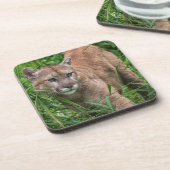 VS, Minnesota, Sandstone, Minnesota Wildlife Drankjes Onderzetter (Linkerzijde)
