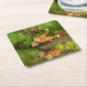 VS, Minnesota, Sandstone, Minnesota Wildlife Kartonnen Onderzetters (Schuin)