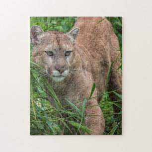 VS, Minnesota, Sandstone, Minnesota Wildlife Legpuzzel