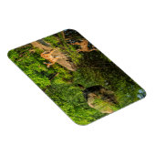 VS, Minnesota, Sandstone, Minnesota Wildlife Magneet (Rechterzijde)