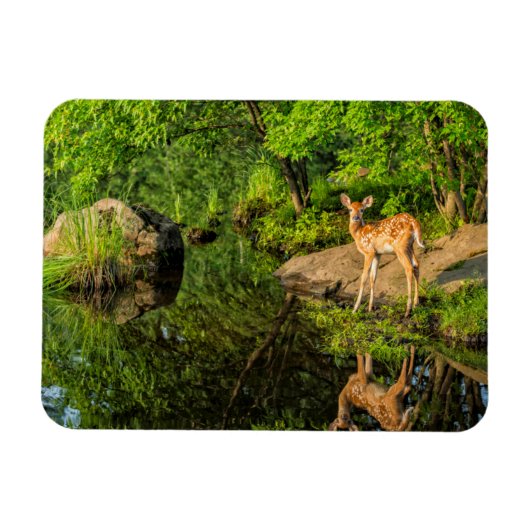 VS, Minnesota, Sandstone, Minnesota Wildlife Magneet (Horizontaal)