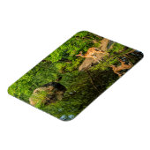 VS, Minnesota, Sandstone, Minnesota Wildlife Magneet (Linkerzijde)