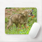 VS, Minnesota, Sandstone, Minnesota Wildlife Muismat (Met muis)