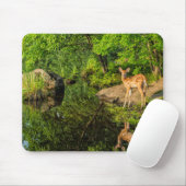 VS, Minnesota, Sandstone, Minnesota Wildlife Muismat (Met muis)