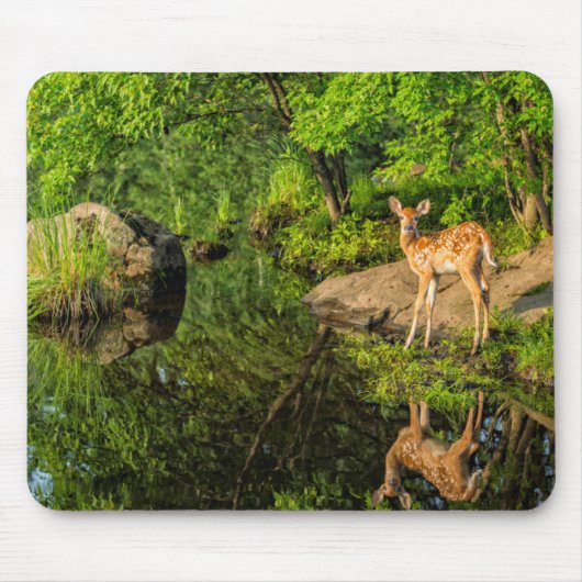 VS, Minnesota, Sandstone, Minnesota Wildlife Muismat (Voorkant)