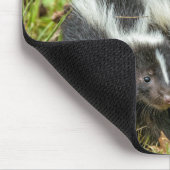 VS, Minnesota, Sandstone, Minnesota Wildlife Muismat (Hoek)