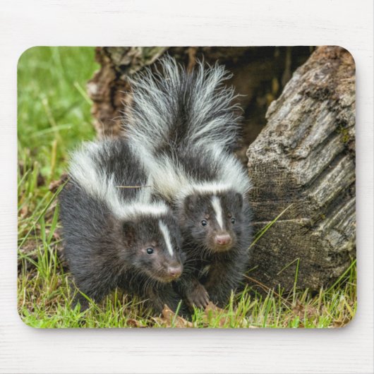 VS, Minnesota, Sandstone, Minnesota Wildlife Muismat (Voorkant)