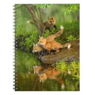 VS, Minnesota, Sandstone, Minnesota Wildlife Notitieboek