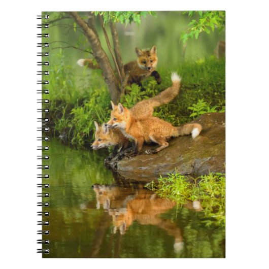 VS, Minnesota, Sandstone, Minnesota Wildlife Notitieboek (Voorkant)