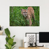 VS, Minnesota, Sandstone, Minnesota Wildlife Poster (Thuiskantoor)
