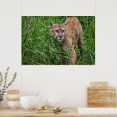VS, Minnesota, Sandstone, Minnesota Wildlife Poster (Keuken)