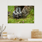 VS, Minnesota, Sandstone, Minnesota Wildlife Poster (Keuken)