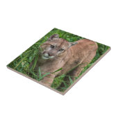 VS, Minnesota, Sandstone, Minnesota Wildlife Tegeltje (Zijkant)