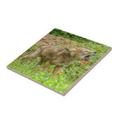 VS, Minnesota, Sandstone, Minnesota Wildlife Tegeltje (Zijkant)