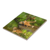 VS, Minnesota, Sandstone, Minnesota Wildlife Tegeltje (Zijkant)