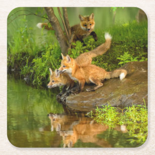 VS, Minnesota, Sandstone, Wilde dieren in Minnesot Kartonnen Onderzetters