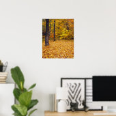 VS, Missouri, Boone County, Maple Forest in Poster (Thuiskantoor)