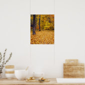 VS, Missouri, Boone County, Maple Forest in Poster (Keuken)