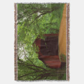 VS, Missouri, Jefferson County, Sandy Creek Deken (Voorkant Verticaal)