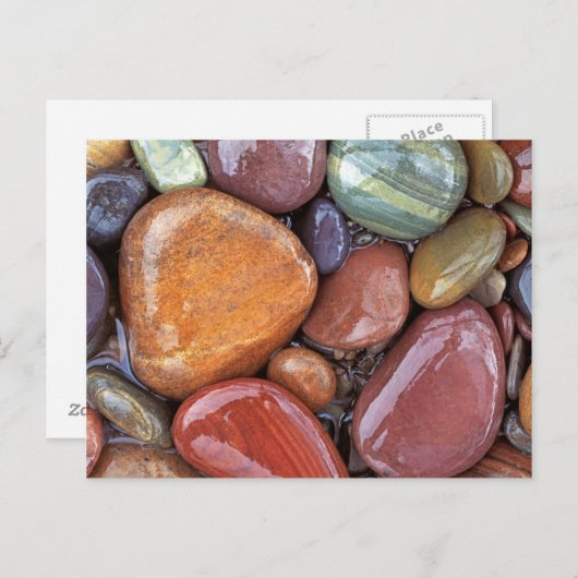 VS, Montana, Clark Fork River, Stones 2 Briefkaart (Voorkant / Achterkant)