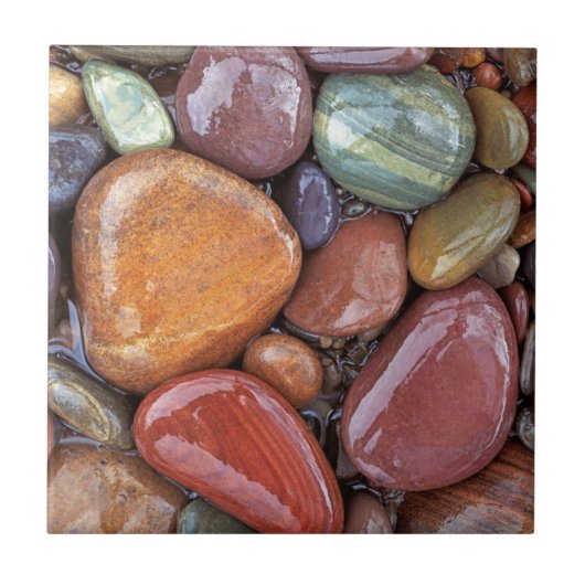 VS, Montana, Clark Fork-rivier, Stones 2 Tegeltje (Voorkant)