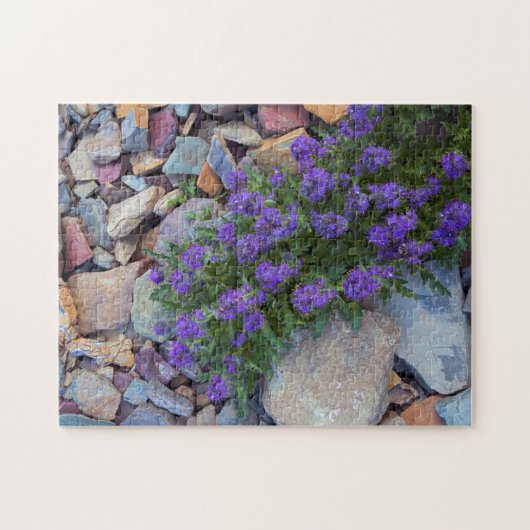 VS, Montana, Glacier National Park Legpuzzel (Horizontaal)